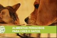 O perigo dos alimentos