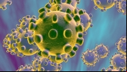 Epidemia de Coronav