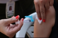 Chegam ao Brasil as primeiras doses da vacina contra a dengue