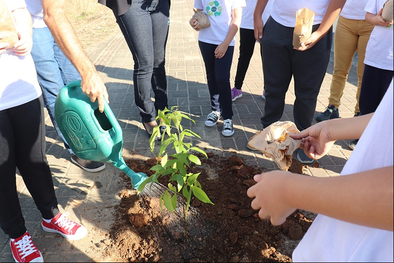 Alunos da escola Ervino Venturi plantam 