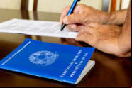 SC tem quase 10 mil vagas de emprego abertas no Sine; 55 s