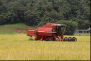 Atendimento da Epagri volta a ser di